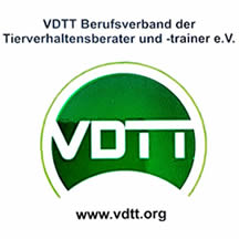 VDTT Logo